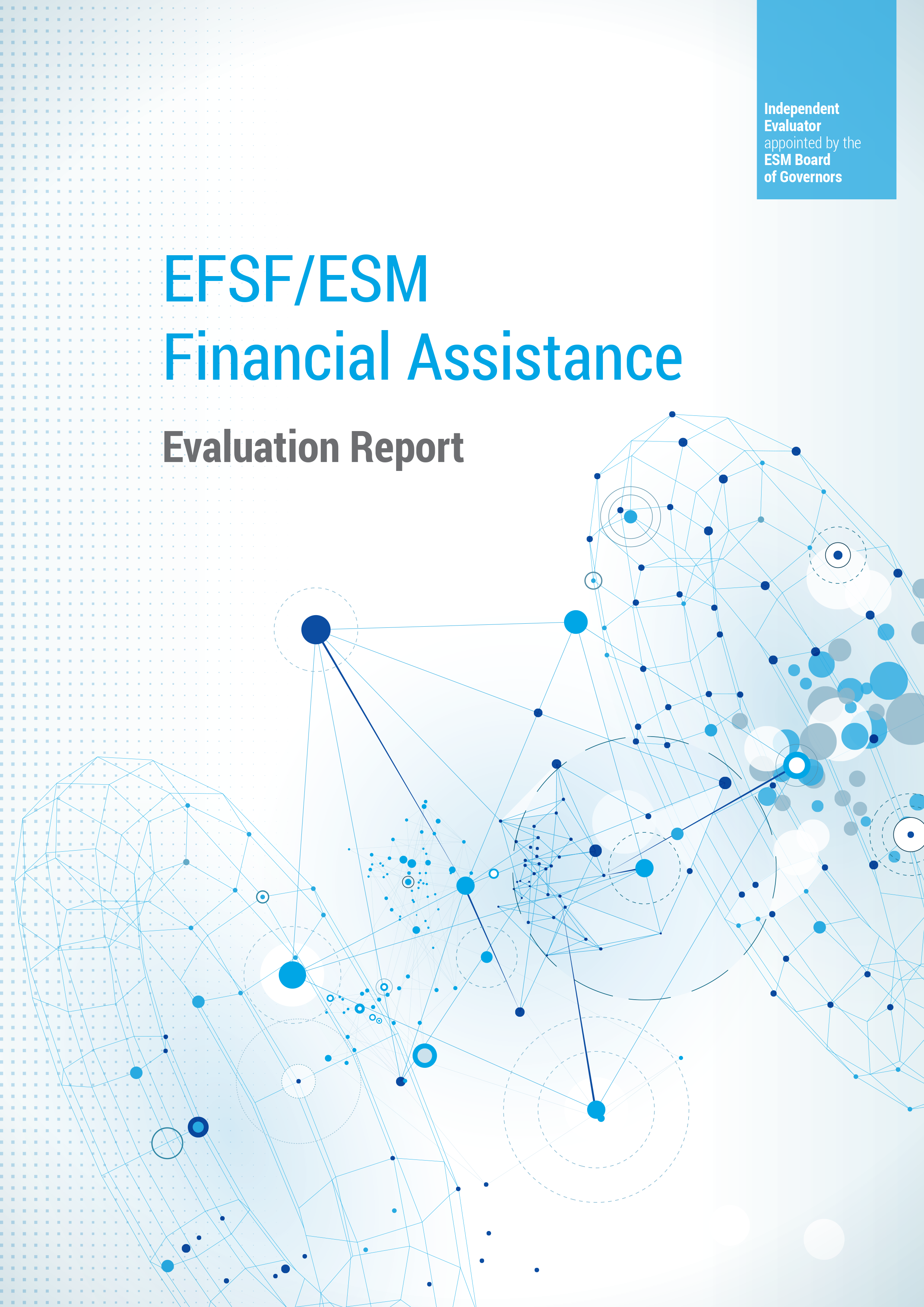 Evaluation report (2017)