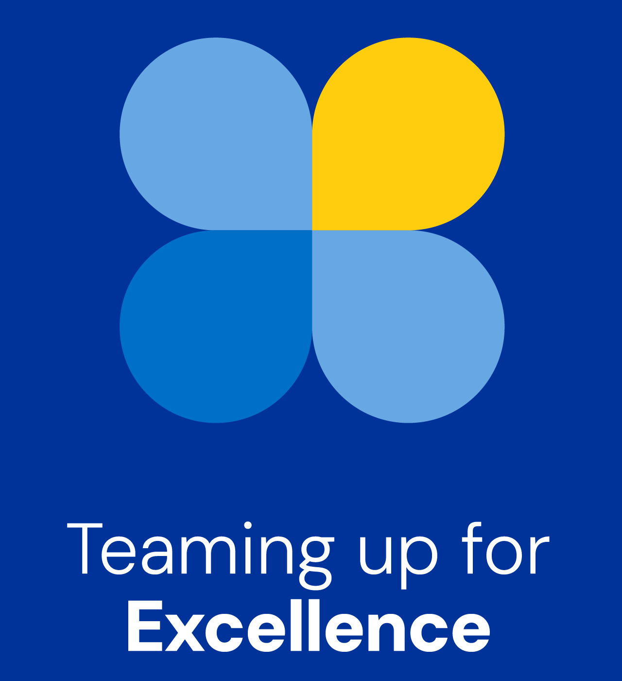 Value 2: Teaming up for Excellence