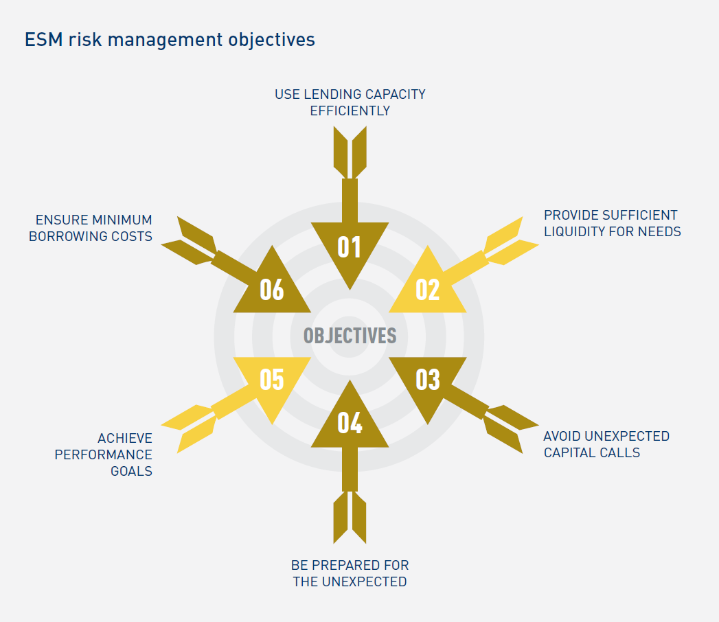 ESM risk management objectives