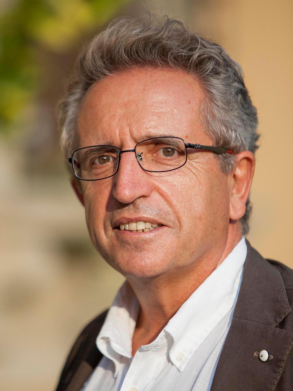 Professor Ramon Marimon