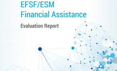 Evaluation report (2017)