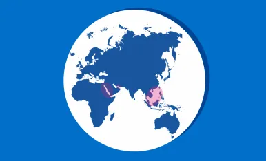 THE BUTTERFLY EFFECT OF GEOPOLITICAL CONFLICTS_Blog Image_1540x1027 Final