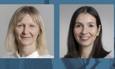 cmd-sarah-carolina-500
