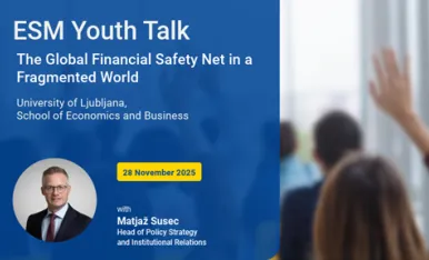 The global financial safety net in a fragmented world​ - 510-287