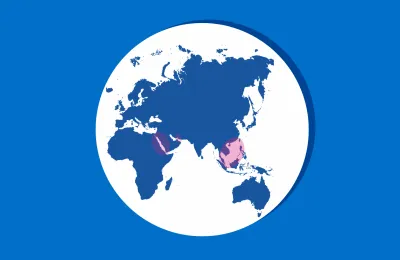 THE BUTTERFLY EFFECT OF GEOPOLITICAL CONFLICTS_Blog Image_1540x1027 Final