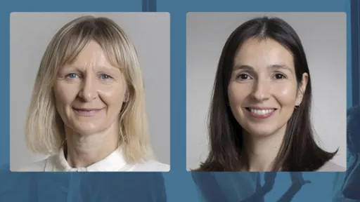 cmd-sarah-carolina-500