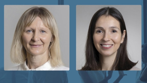 cmd-sarah-carolina-500