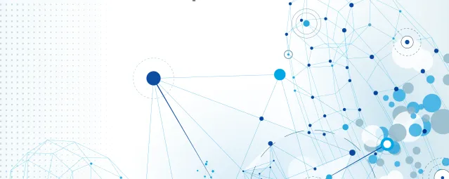Evaluation report (2017)