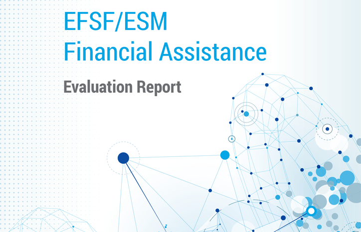 Evaluation report (2017)