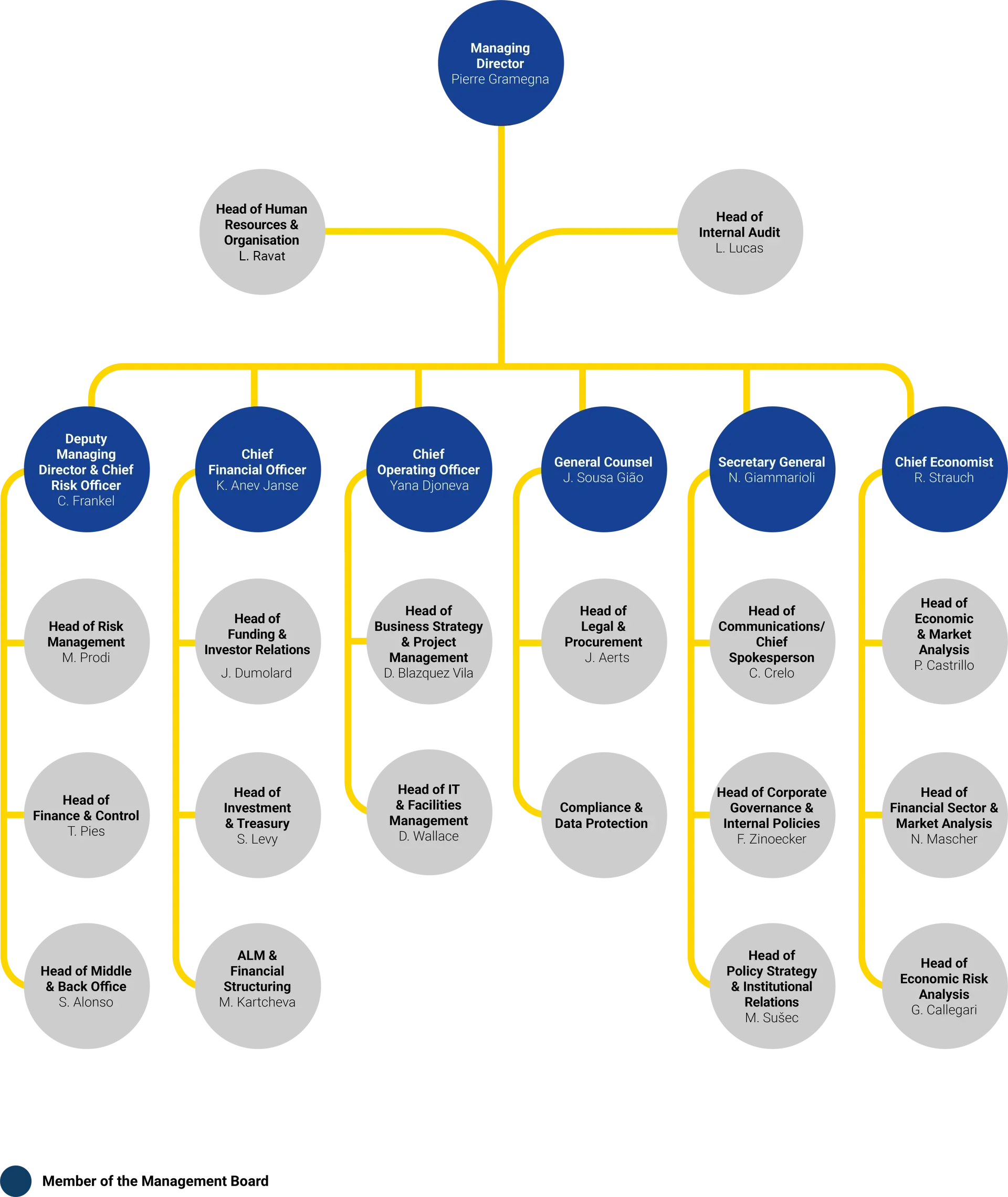 2025-06-18-organisation-chart