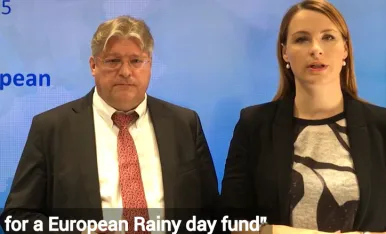 ESM Discussion Paper no. 5 - A case for a European Rainy Day Fund-724-466