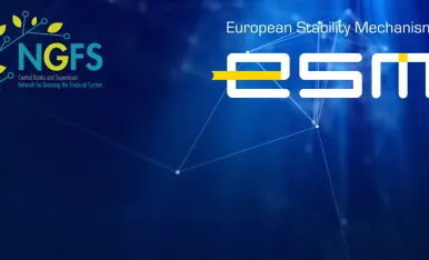 NGFS-ESM-network-1920-889-1
