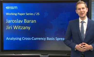 Short video presenting ESM Working Paper no. 25-724-466