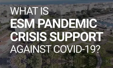 What is ESM Pandemic Crisis Support-724-466