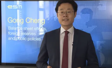 Working Paper Series 3 - Gong Cheng - Balance sheet effects, foreign reserves and public policies-724-466