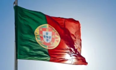 Media Name: ptflag270x160.png