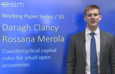 ESM Working Paper no. 10-724-466