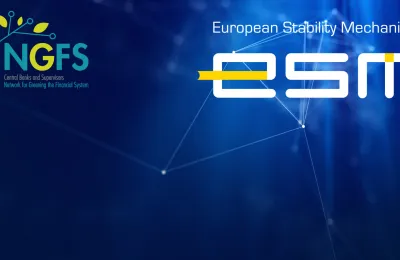 NGFS-ESM-network-1920-889-1