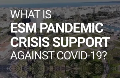 What is ESM Pandemic Crisis Support-724-466