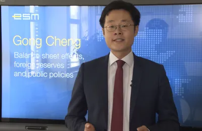 Working Paper Series 3 - Gong Cheng - Balance sheet effects, foreign reserves and public policies-724-466