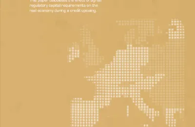 Media Name: capital_adequacy_regulations_in_hungary.png