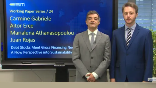 ESM Working Paper no. 24-724-466