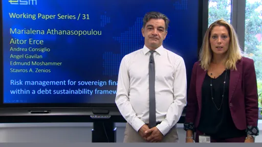 ESM Working Paper no. 31-724-466