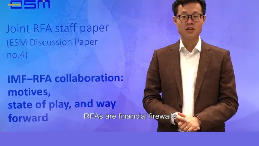 Short Video presenting Discussion Paper no 4-724-466