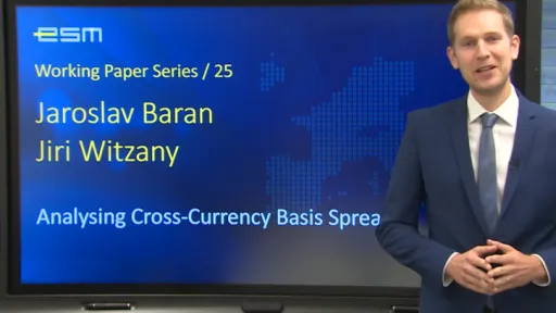 Short video presenting ESM Working Paper no. 25-724-466