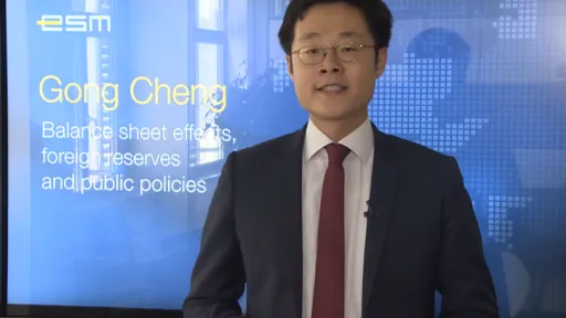 Working Paper Series 3 - Gong Cheng - Balance sheet effects, foreign reserves and public policies-724-466