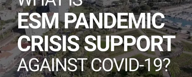 What is ESM Pandemic Crisis Support-724-466