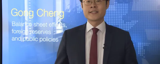 Working Paper Series 3 - Gong Cheng - Balance sheet effects, foreign reserves and public policies-724-466