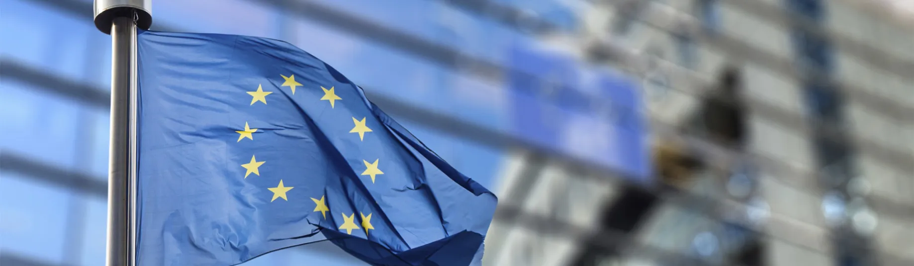 ESM reform and treaty change