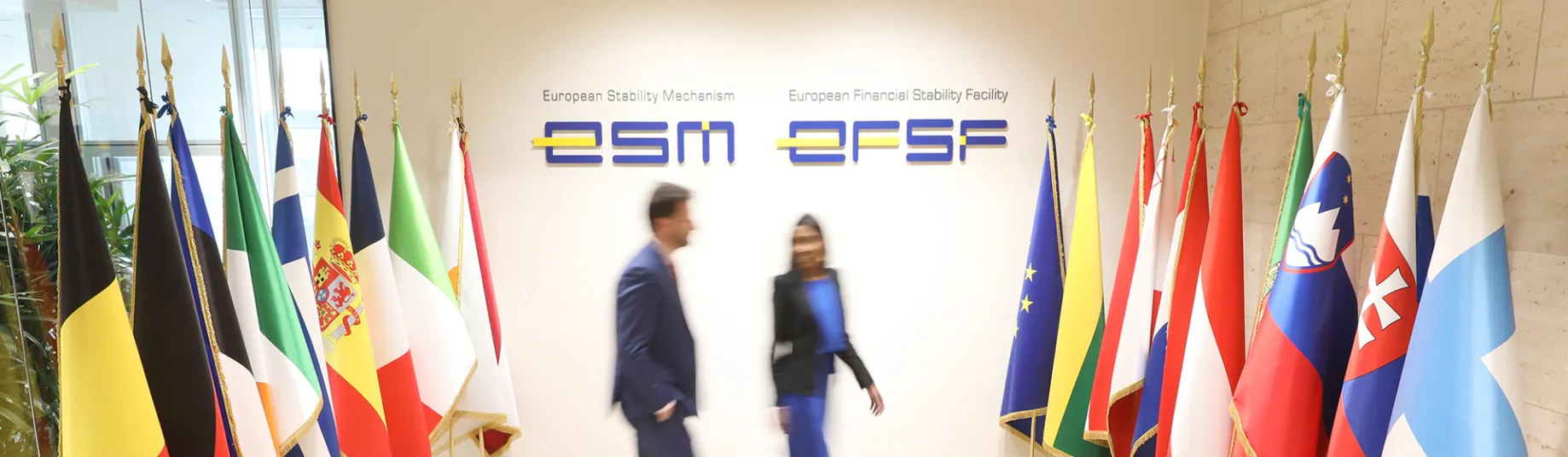 ESM Annual Report 2019 OLD