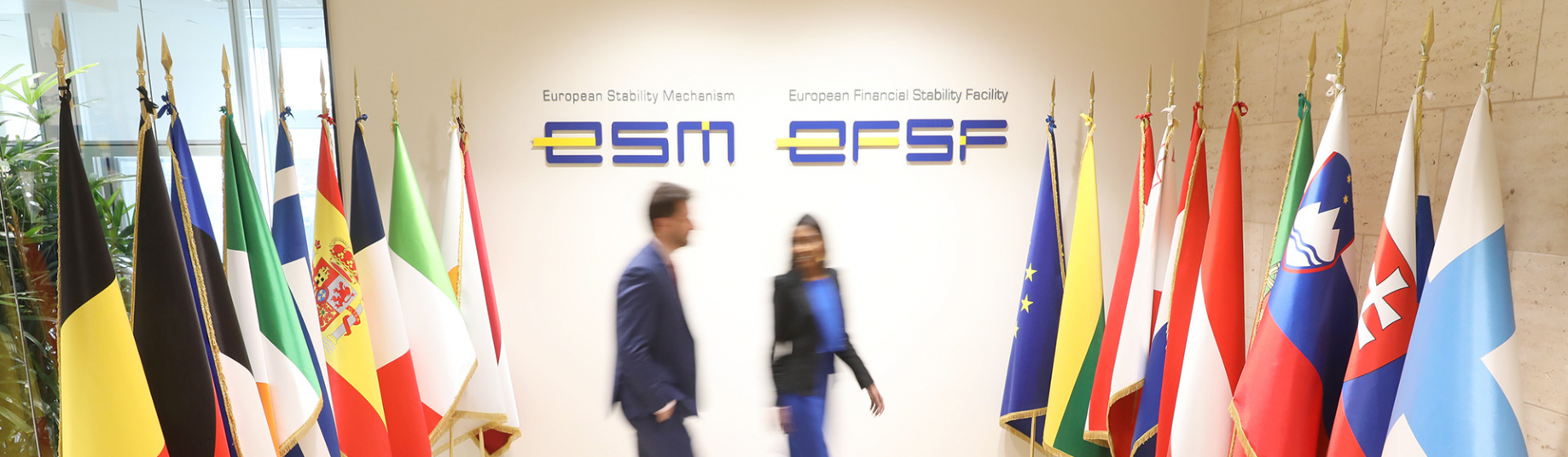 ESM Annual Report 2019 OLD