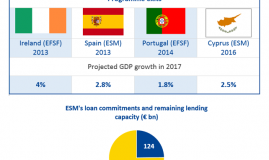 Five years of the ESM